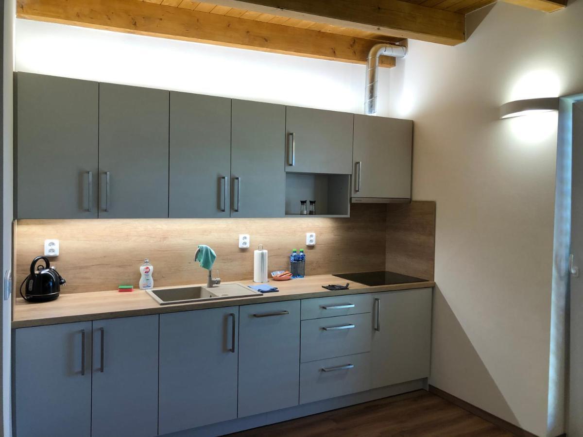 Anico Apartmany Dolni Benesov Экстерьер фото