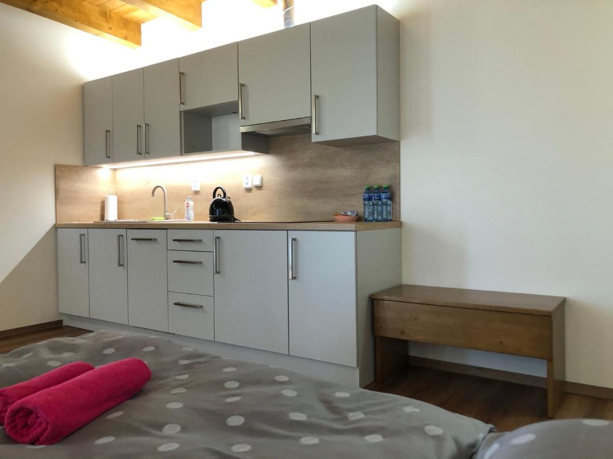 Anico Apartmany Dolni Benesov Экстерьер фото