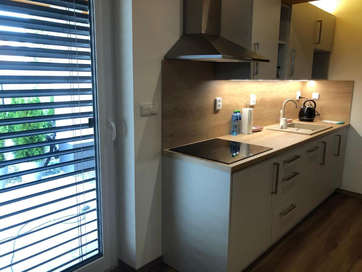 Anico Apartmany Dolni Benesov Экстерьер фото