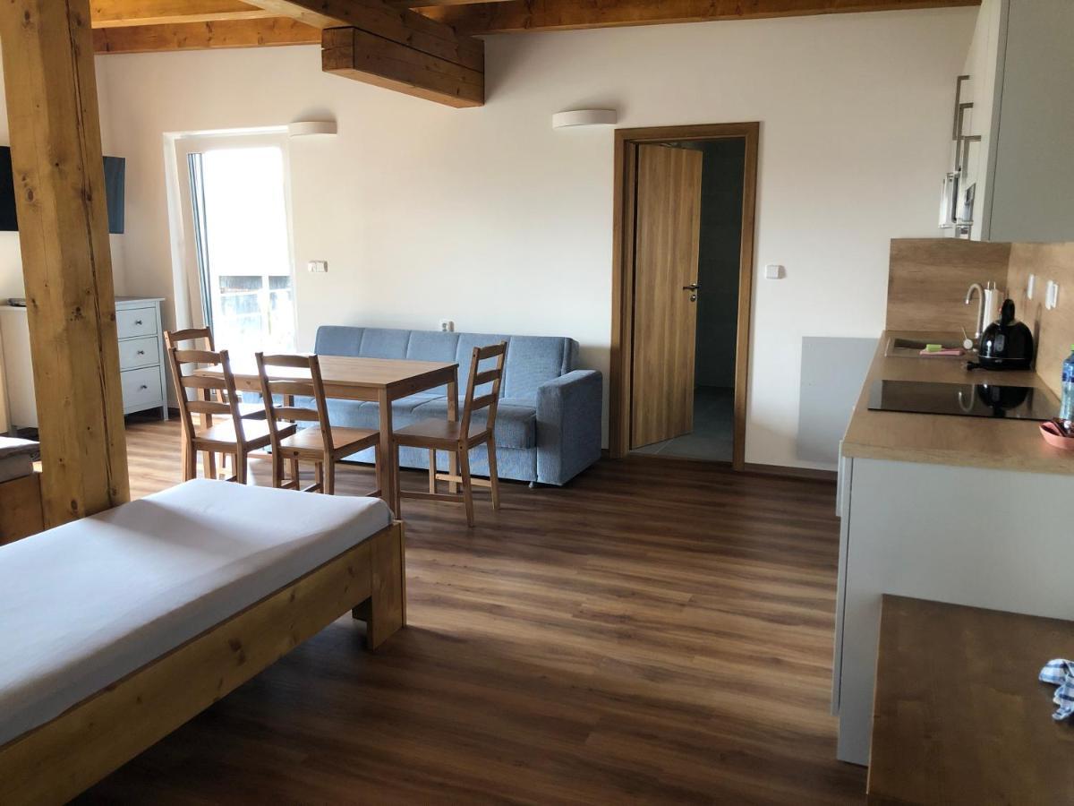 Anico Apartmany Dolni Benesov Экстерьер фото